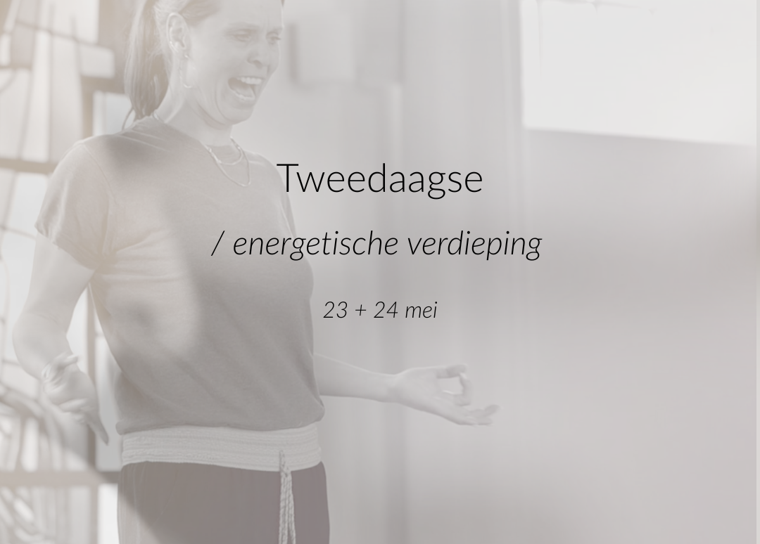 tweedaagse energetische verdieping 23.05/24.05